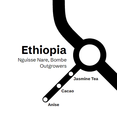 Ethiopia Nguisse Nare, Bombe Outgrowers
