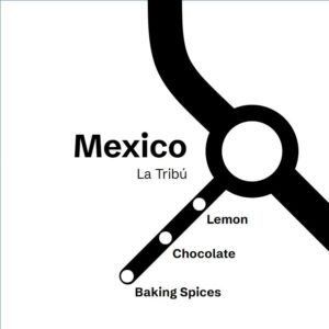 Mexico La Tribú