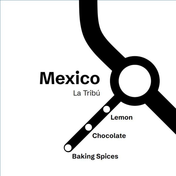 Mexico La Tribú